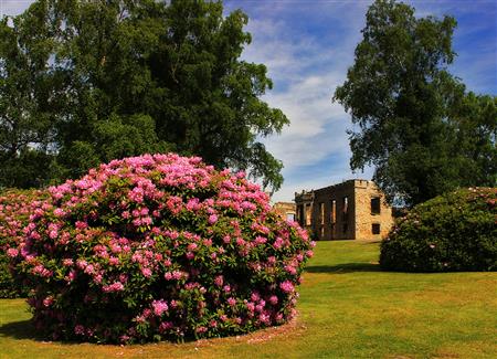 Mont de Cerisy - Cerisy Belle Etoile