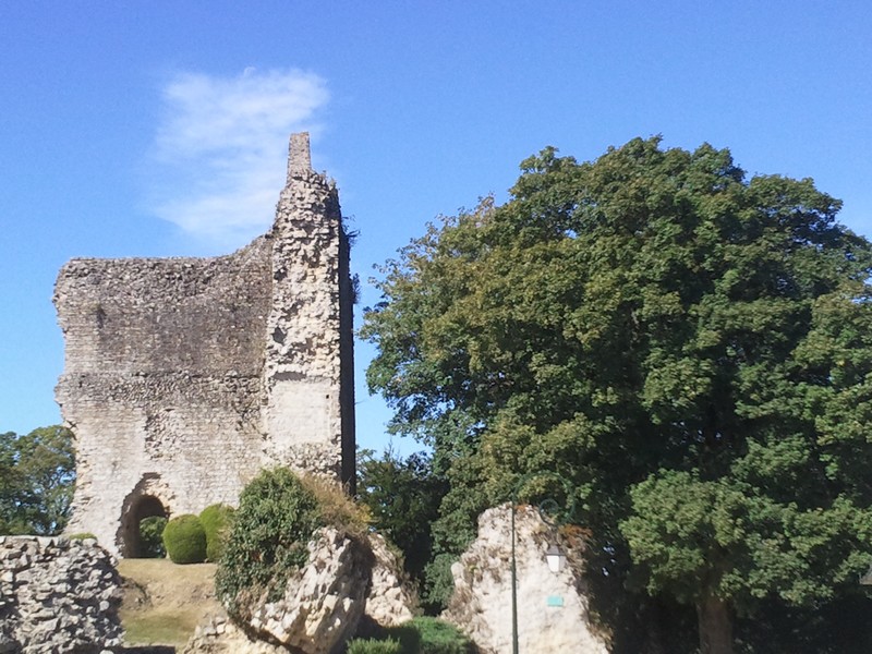 Domfront En Poiraie : Visite Guidée des vestiges du château de Domfront