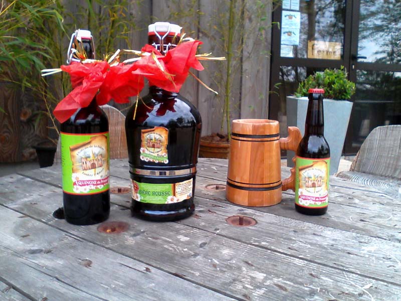 ©D. P. Lesellier Château de la Bière - Lonlay l'Abbaye