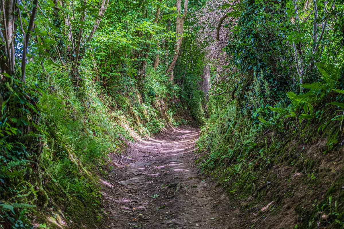 Trail > A la découverte du bocage coutançais