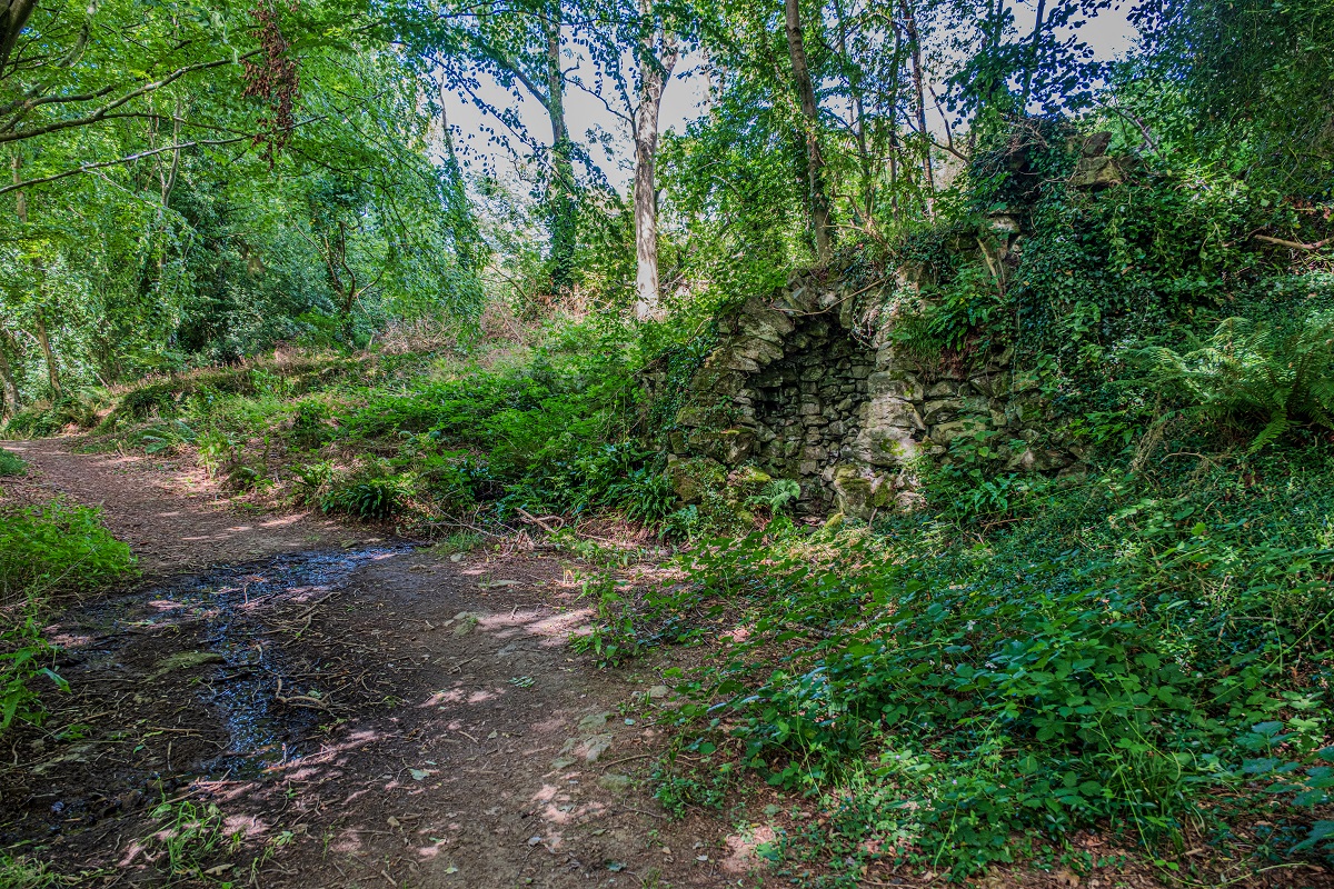 Trail > Le bois des Vignettes