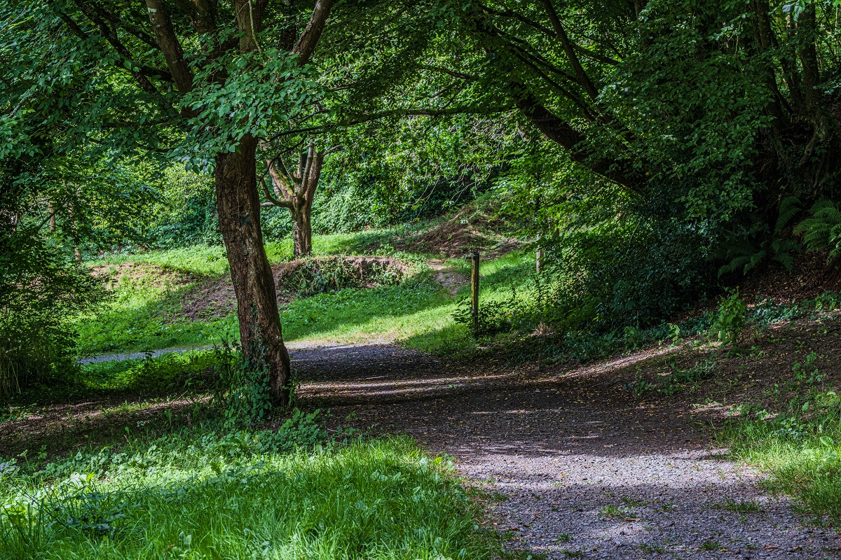 Trail > La vallée du Bulsard