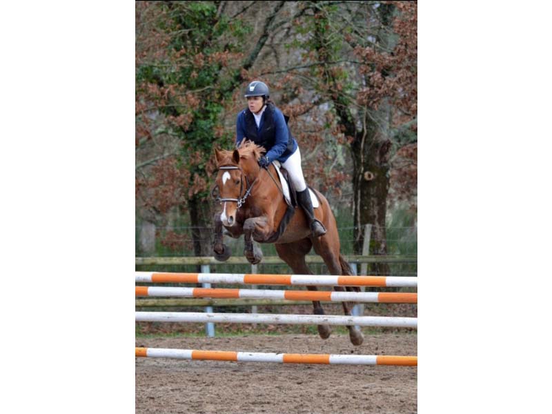 ©Anne-Laure Colon Domaine équestre du Pays Bellêmois - Sérigny
