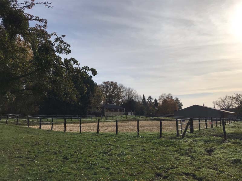 ©Anne-Laure Colon Domaine équestre du Pays Bellêmois - Sérigny
