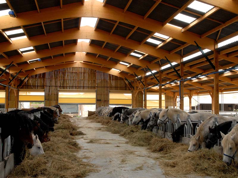 ©Chevalait Chevalait - CHAILLOUE