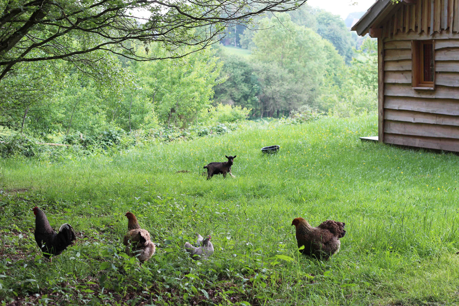 Country Lodge©GDF61 country_lodge_2018©M.Beslin_GDF61 (062)r