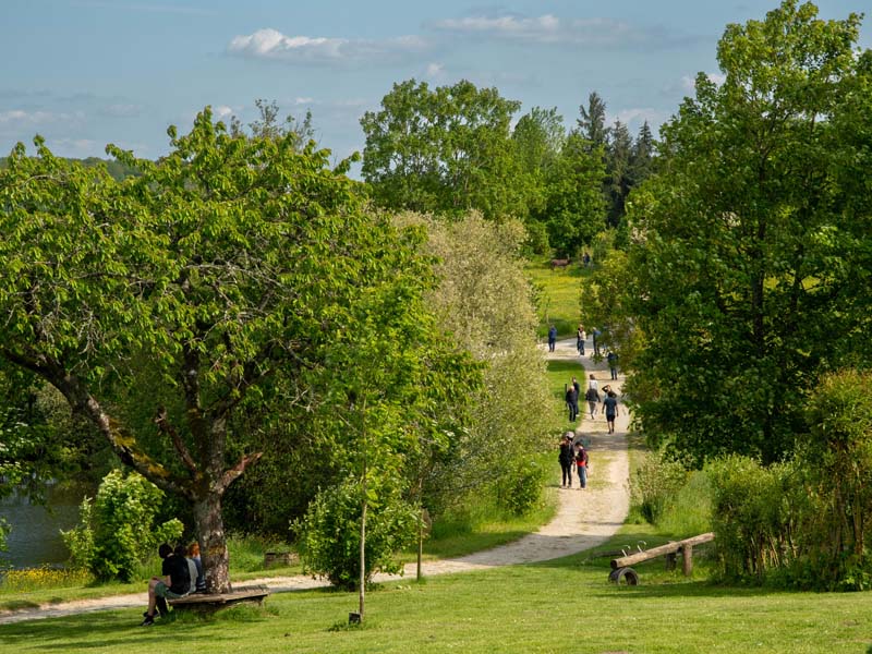 ©David Commenchal-CD61 Domaine et manoir de Courboyer - Nocé
