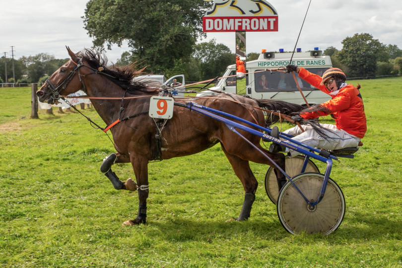 Domfront En Poiraie : Courses hippiques de Domfront