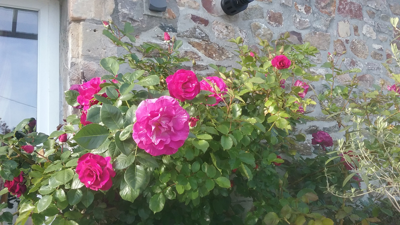 Au Domaine de Sophie