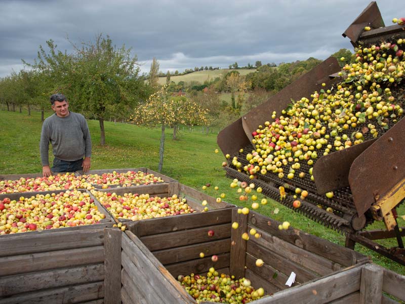 ©D. Commenchal-CD61 La Galotière - Crouttes