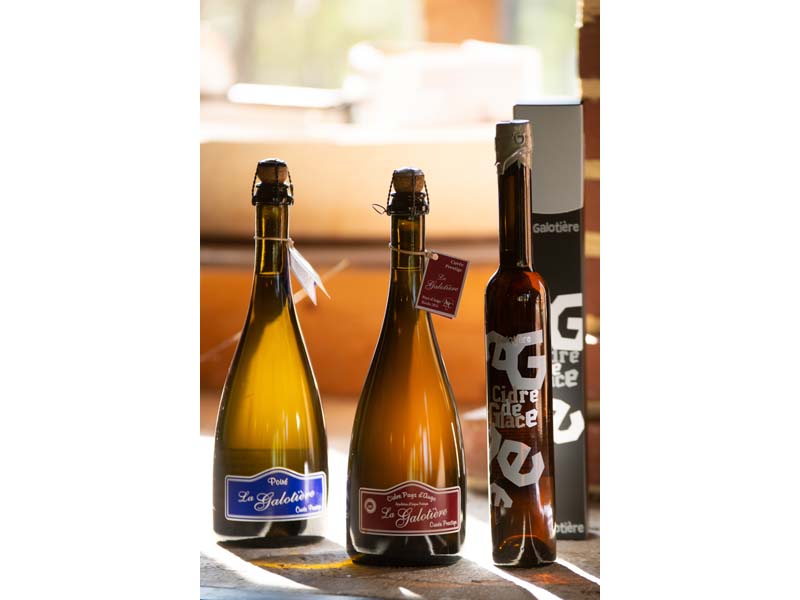 ©D. Commenchal-CD61 La Galotière - Crouttes