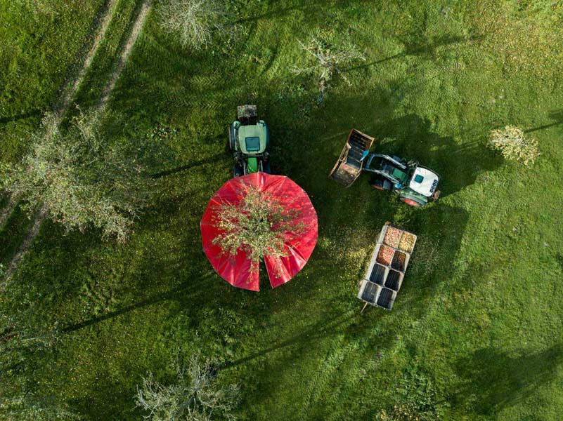 ©D. Commenchal-CD61 La Galotière - Crouttes