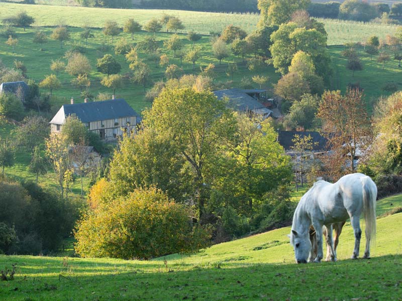 ©D. Commenchal-CD61 La Galotière - Crouttes