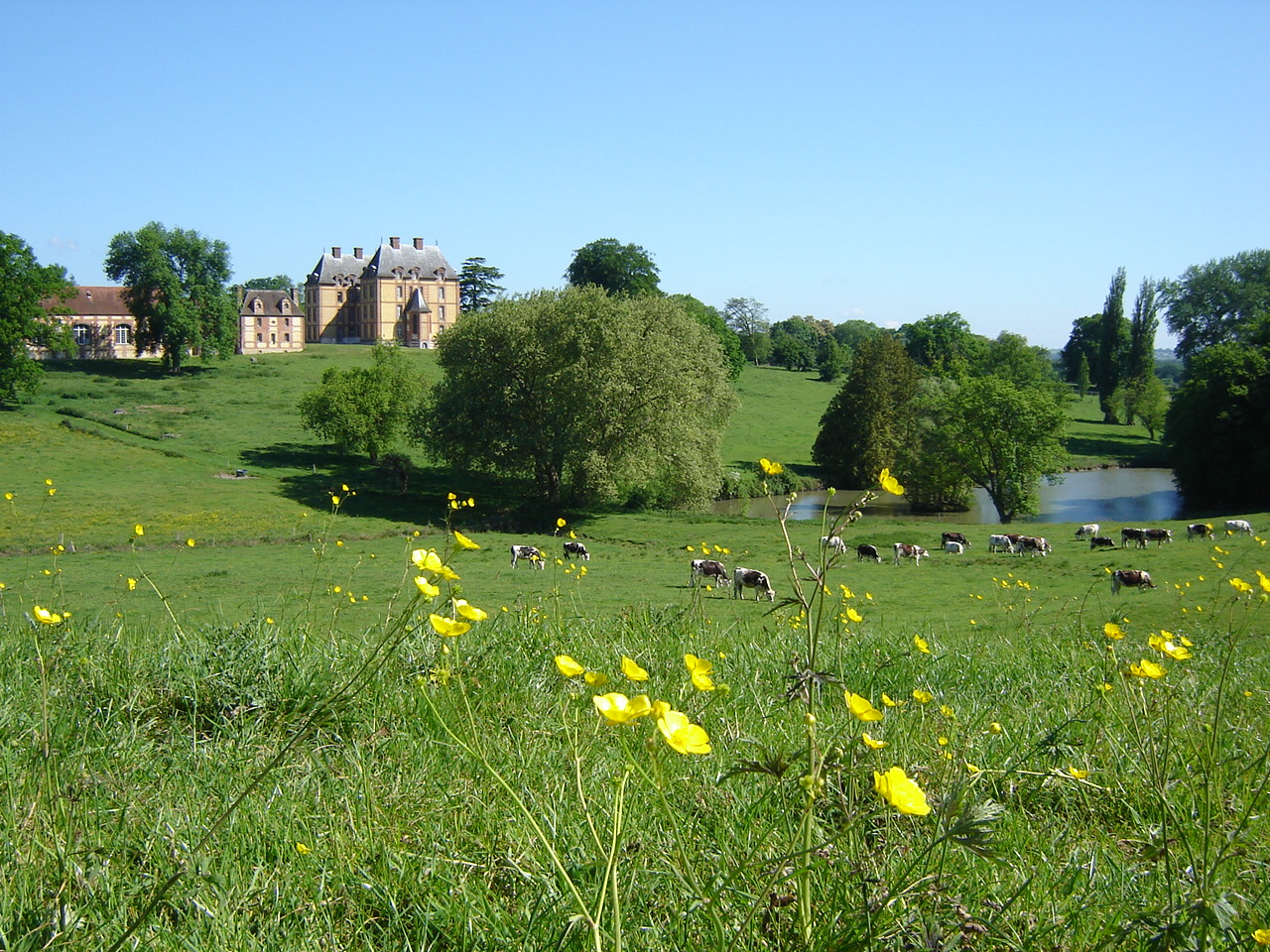 Domaine de Merval - photo 2