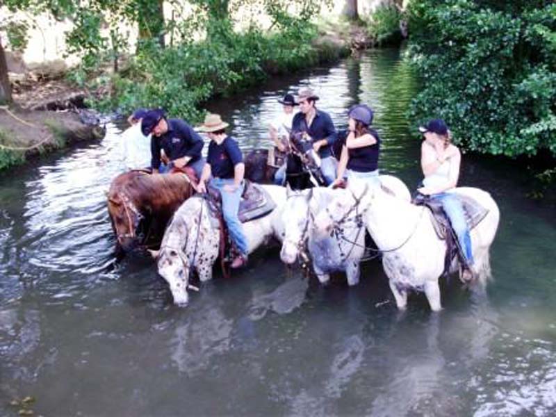 ©Double T Farm Double T Farm - St Jouin de Blavou