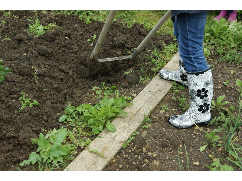 ecomusee_jardin_800 ©ecomuseeduperche ecomusee_jardin_800