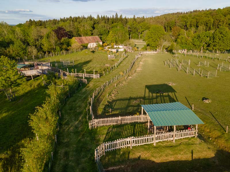 Parc animalier d'Ecouves - Le Bouillon