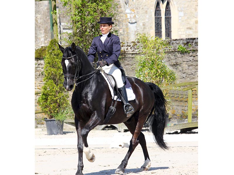 © Ecuries d'Am Les écuries d'Am