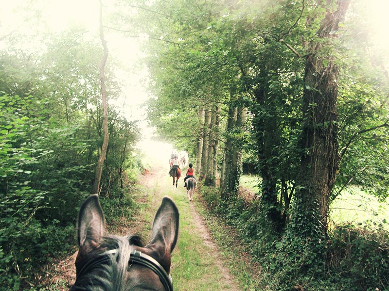 © Ecuries d'Am Les écuries d'Am