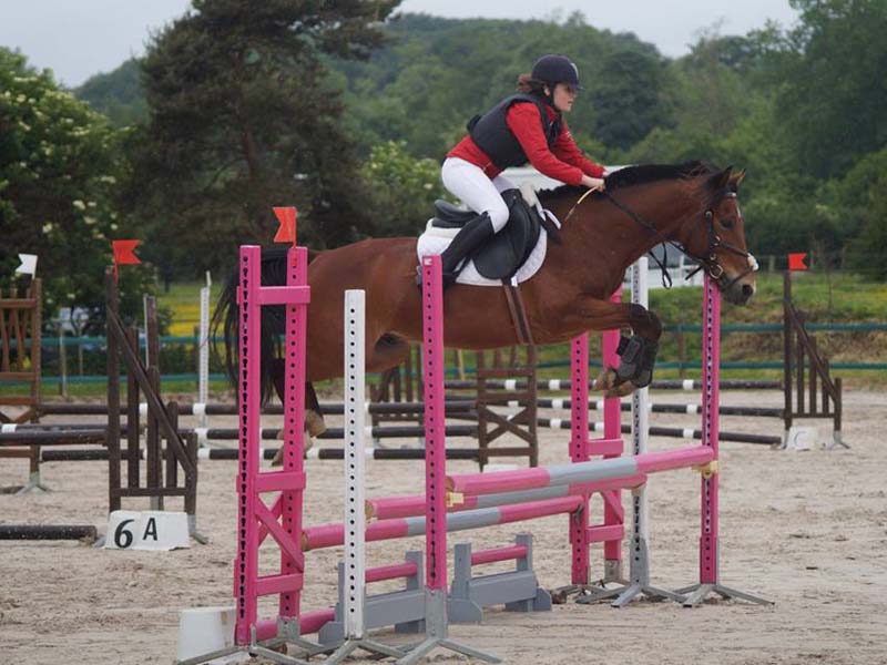 ©M. Fleury Ecuries de la Livarderie - Marchainville