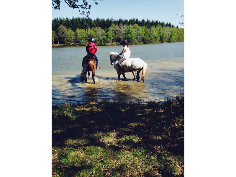 ©M. Fleury Ecuries de la Livarderie - Marchainville