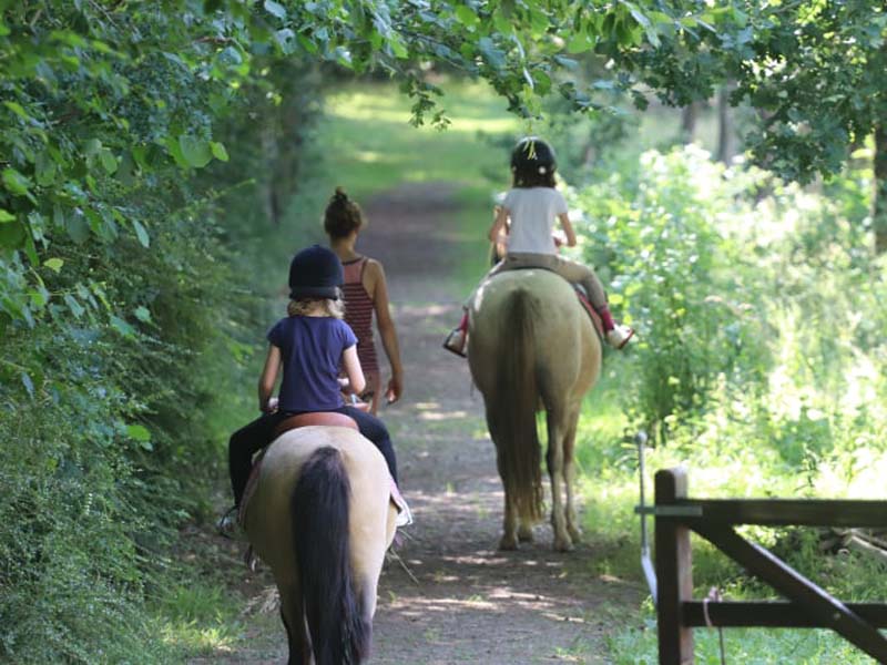 ©Haras EOZ Haras EOZ - Saint Nicolas des Bois