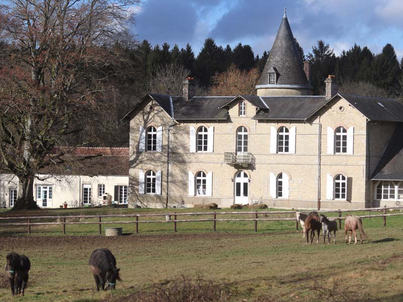 ©Haras EOZ Haras EOZ - Saint Nicolas des Bois