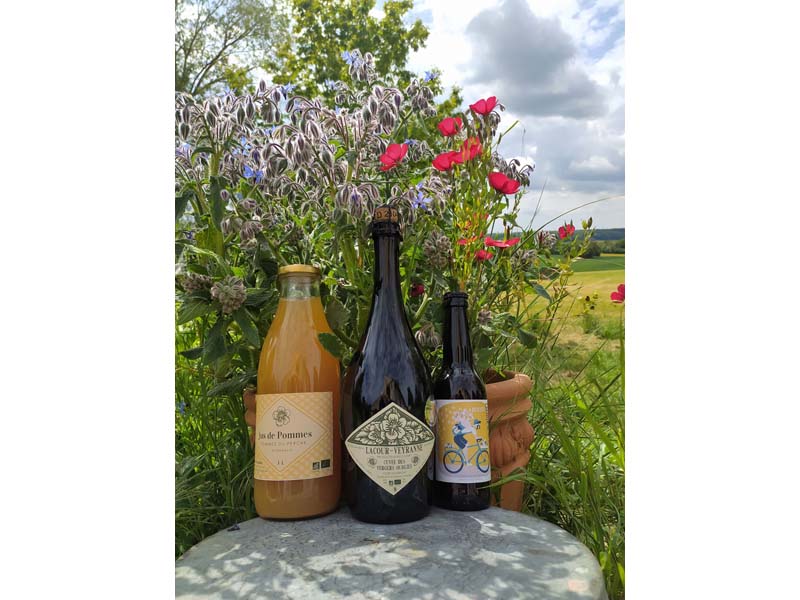 ©Matthieu Lacour-Veyranne Matthieu Lacour-Veyranne - Éperrais