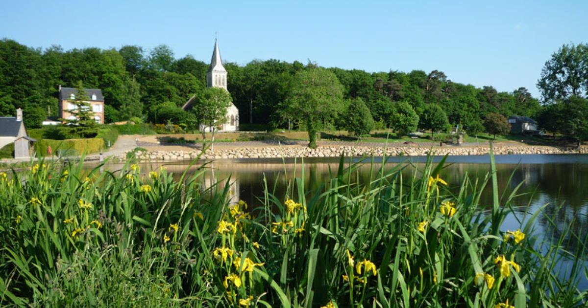 Etang de la Queue d