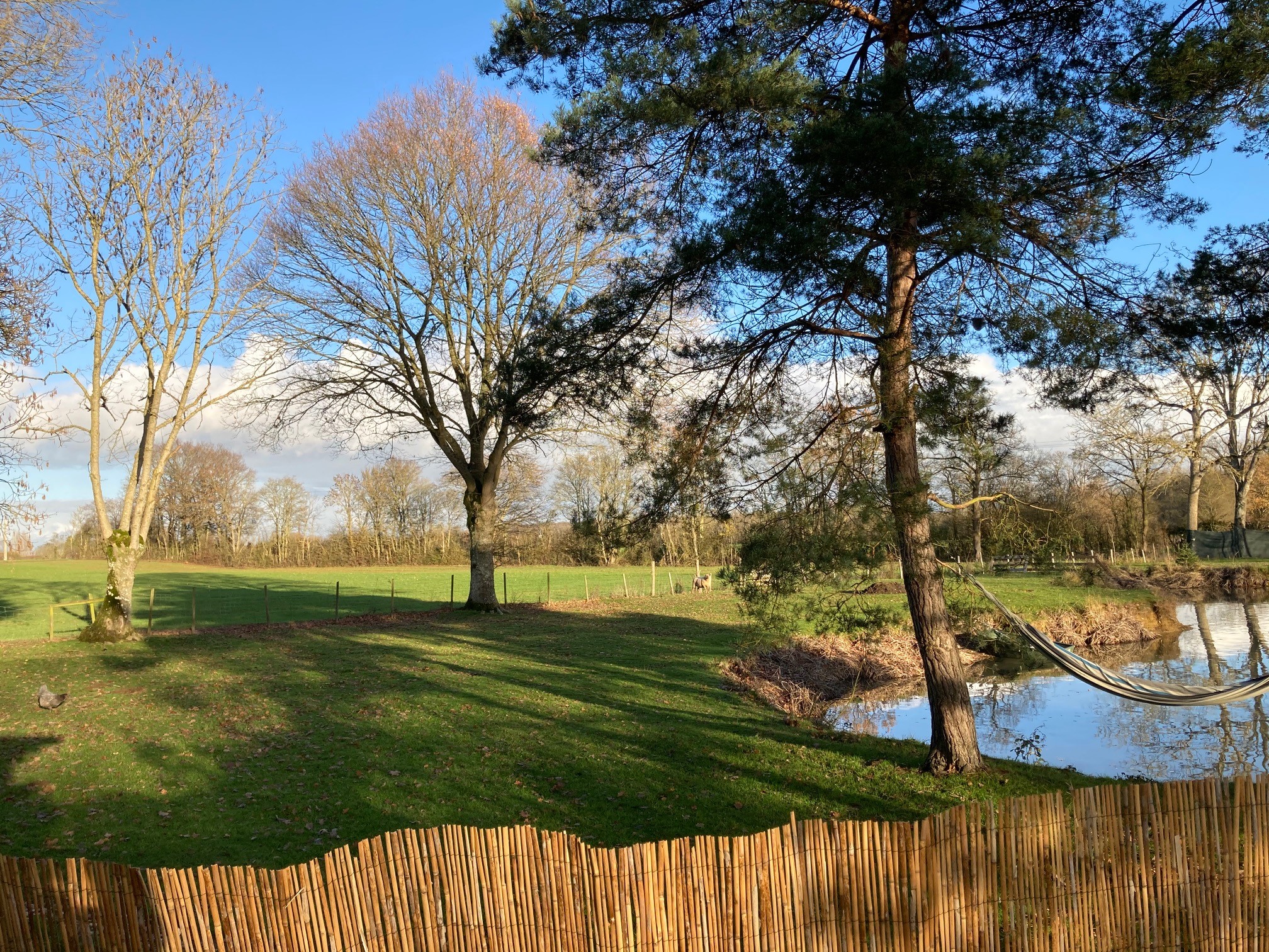 L'Etang d'un instant