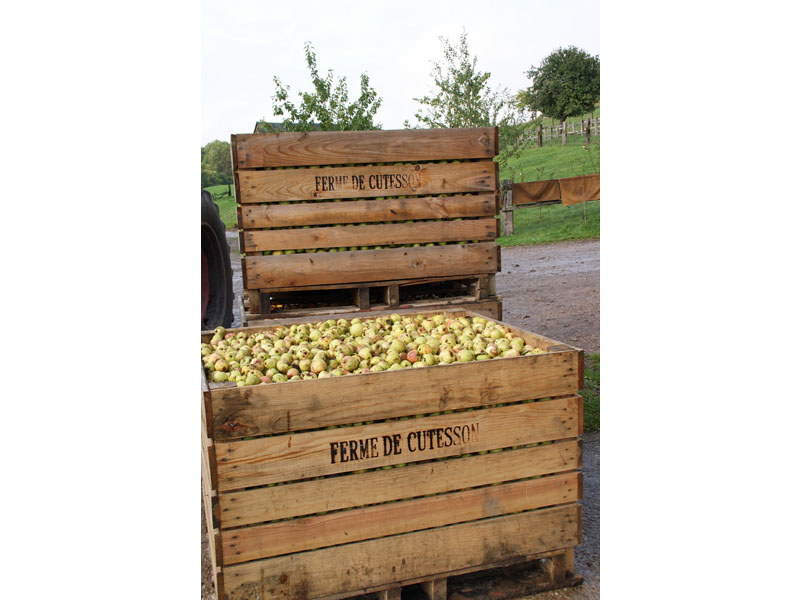 © Orne Tourisme Ferme de Cutesson - Vimoutiers