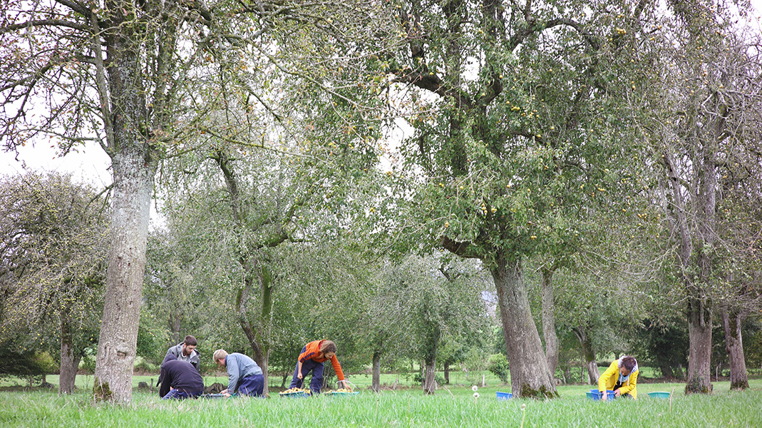 © Pacory-Ferme-Grimaux ferme-grimaux 2