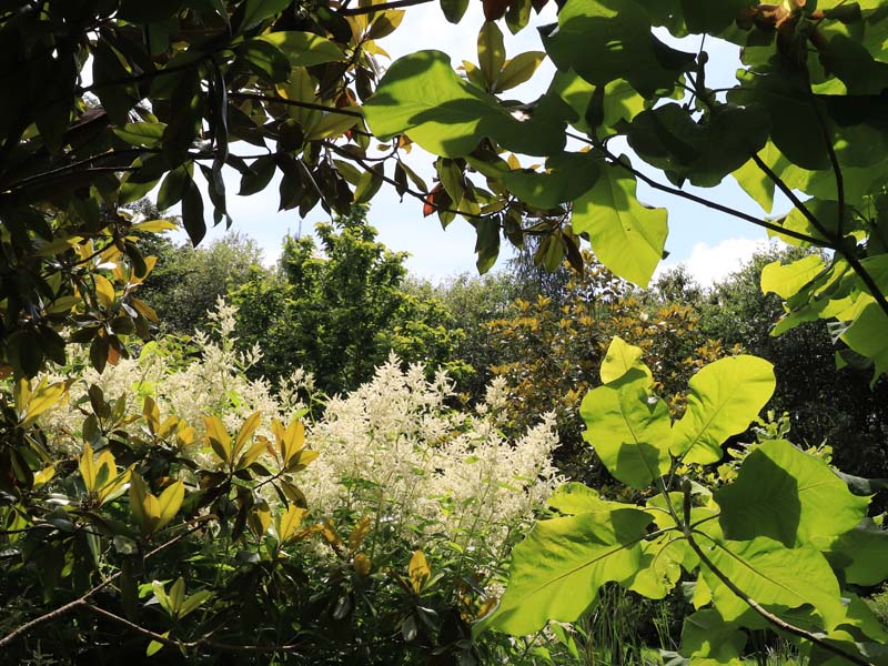 ©JE Rubio Ferme Ornée de Carrouges