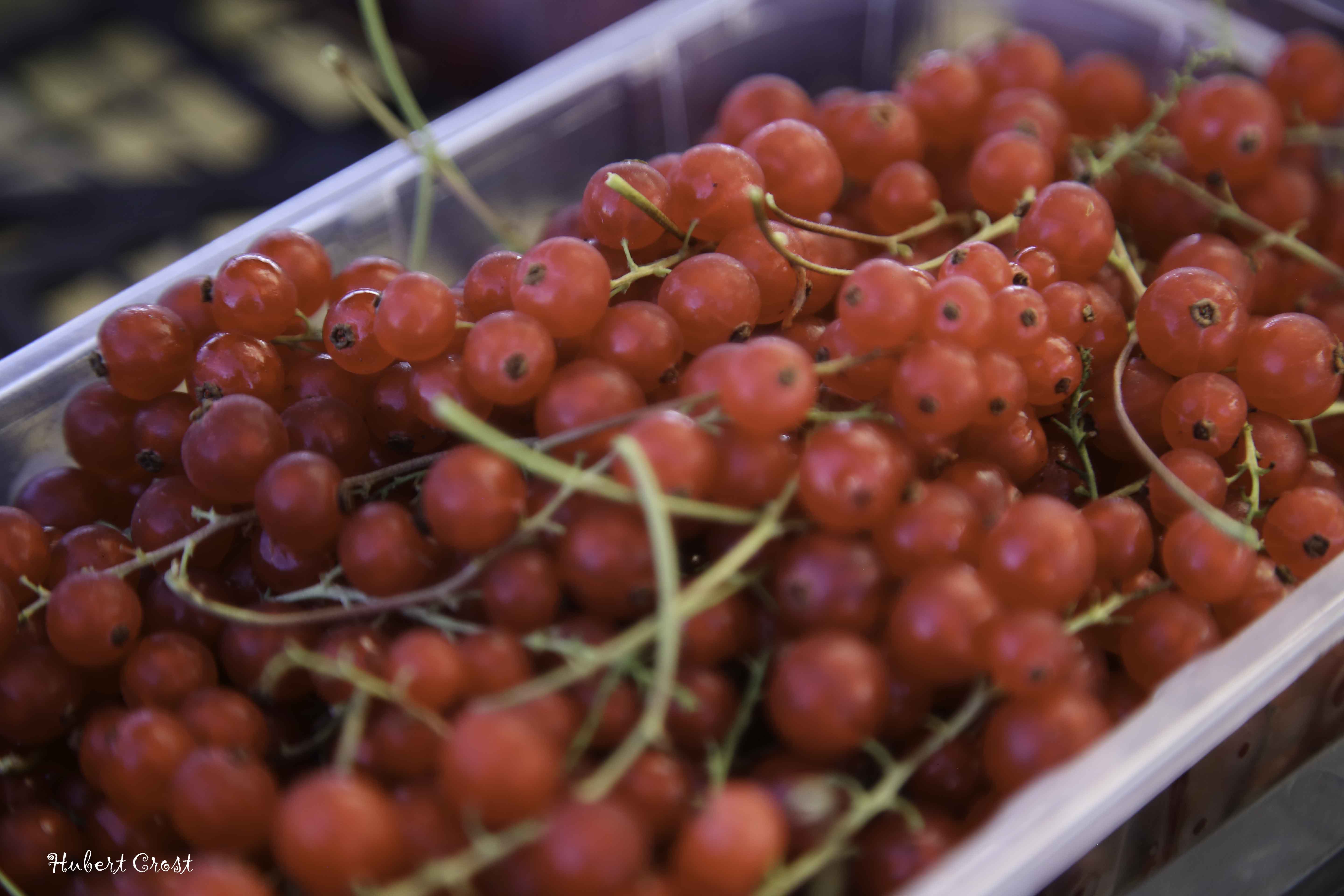 fete framboise 2022-178
