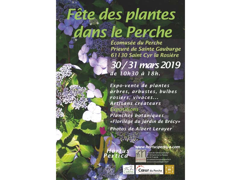Fête des plantes dans le Perche - St Cyr la Rosière ©Hortus Pertica Fête des plantes dans le Perche - St Cyr la Rosière