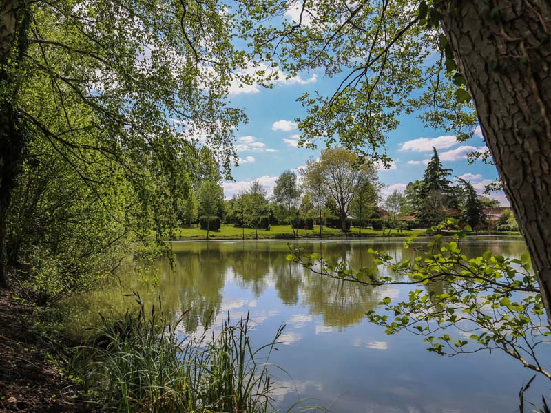 ©Forest View Forest View - Dorceau