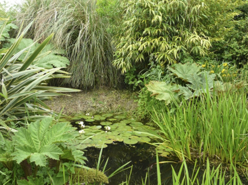 La Mare aux Fées