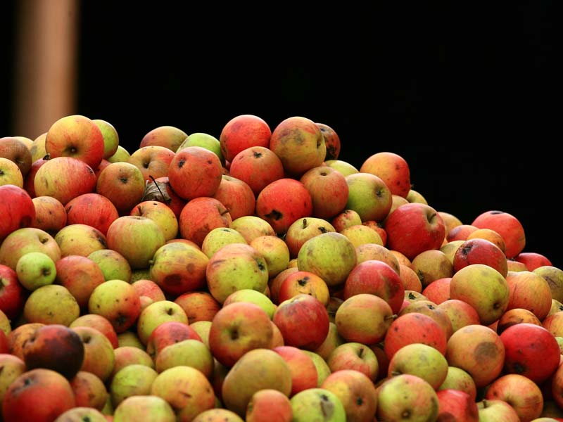 ©J.E. Rubio-CD61 Ferme des Grimaux - Mantilly