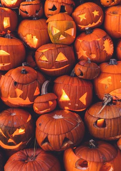 Halloween à la ferme Du 1 au 3 nov 2024