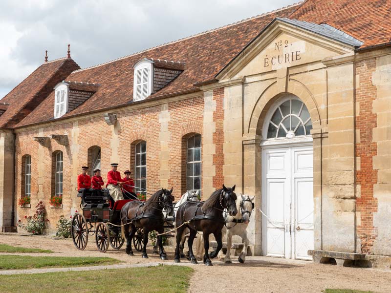 ©David Commenchal Les Jeudis du Pin - Haras national du Pin