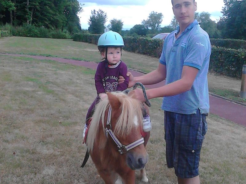 © Haras de la Tour haras-de-la-Tour-Juvigny