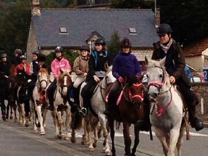 © Haras de la Tour haras-de-la-Tour-Juvigny