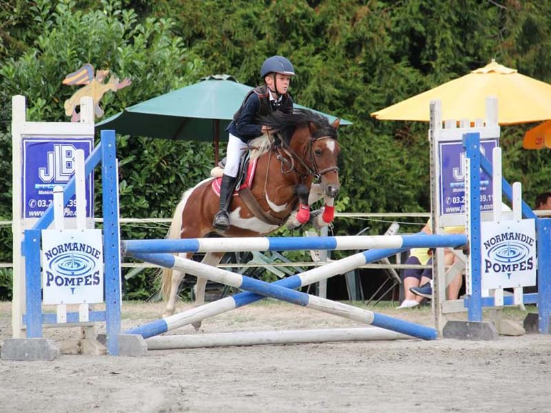 ©Nicole D'Heur Haras des Perchers - Passais la Conception