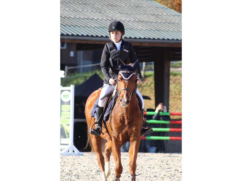 ©Nicole D'Heur Haras des Perchers - Passais la Conception