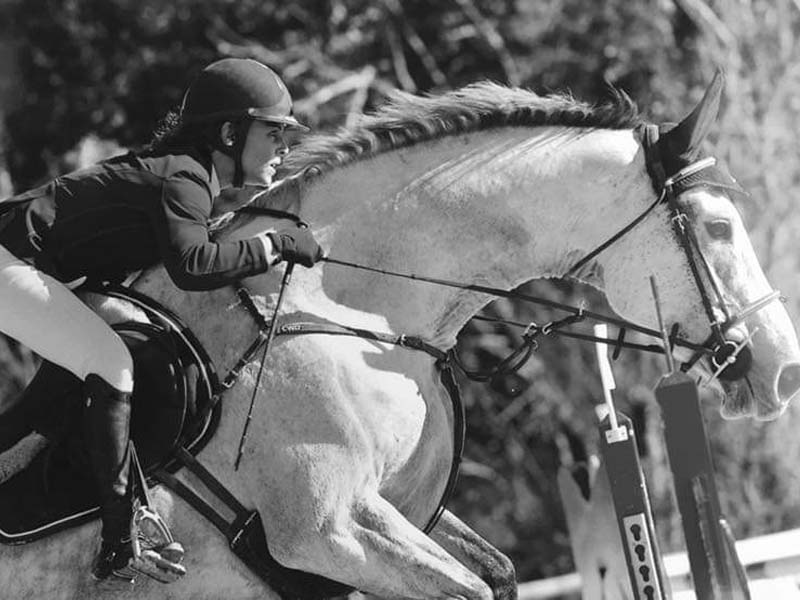 ©Nicole D'Heur Haras des Perchers - Passais la Conception