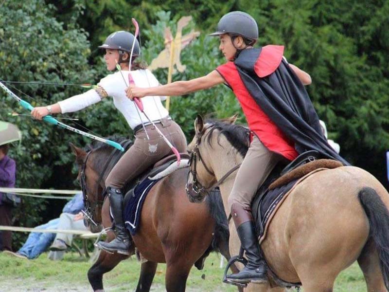 ©Nicole D'Heur Haras des Perchers - Passais la Conception