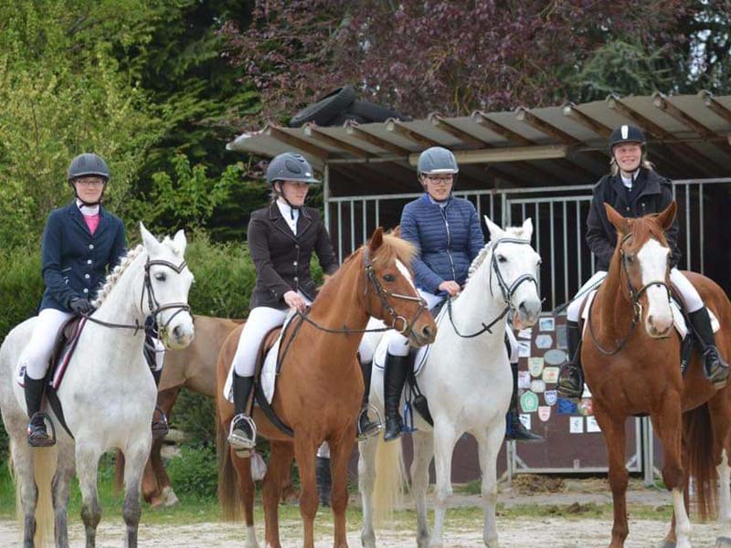 ©Nicole D'Heur Haras des Perchers - Passais la Conception