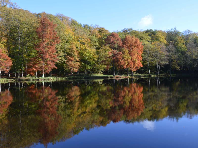 ©OT Perche en Normandie Site de la Herse - Eperrais