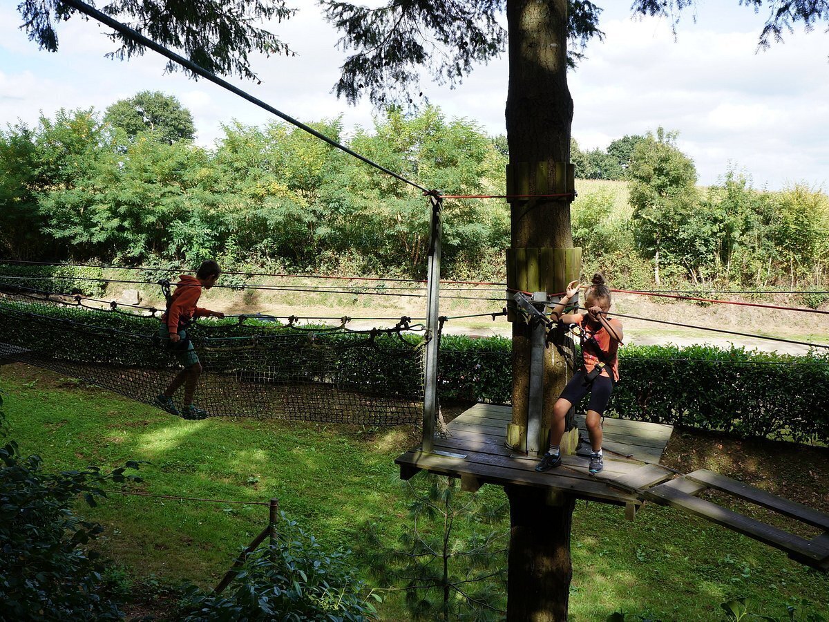 Forest Adventure