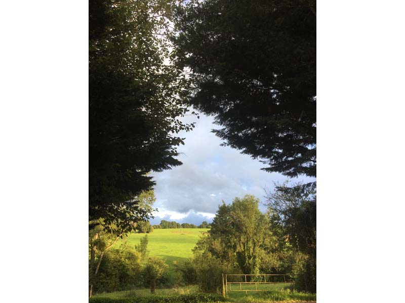 ©La Ferme de l'Instière La Ferme de l'Instière - Camembert